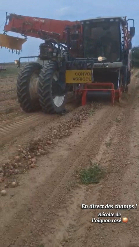 Ferme Ty Coz - Légumes biologiques