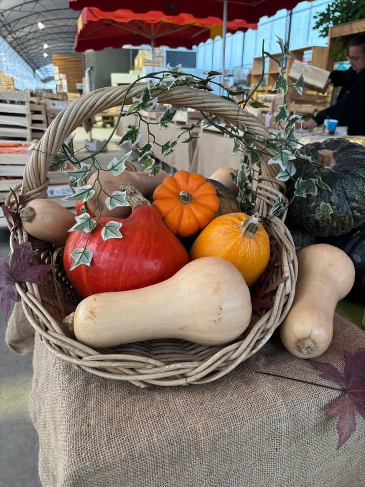 Ferme Ty Coz - Légumes biologiques