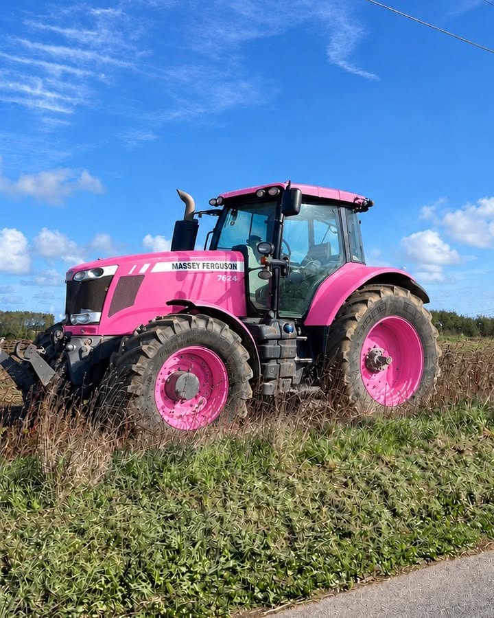 Ferme Ty Coz - Légumes biologiques